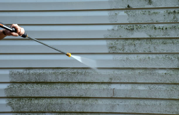 Best DIY Mold Remediation Support Services in Honey Grove, TX
