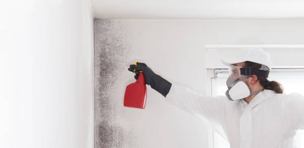Best Industrial Mold Remediation in Honey Grove, TX
